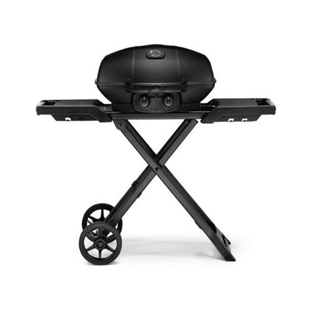 Portable Gas Grill